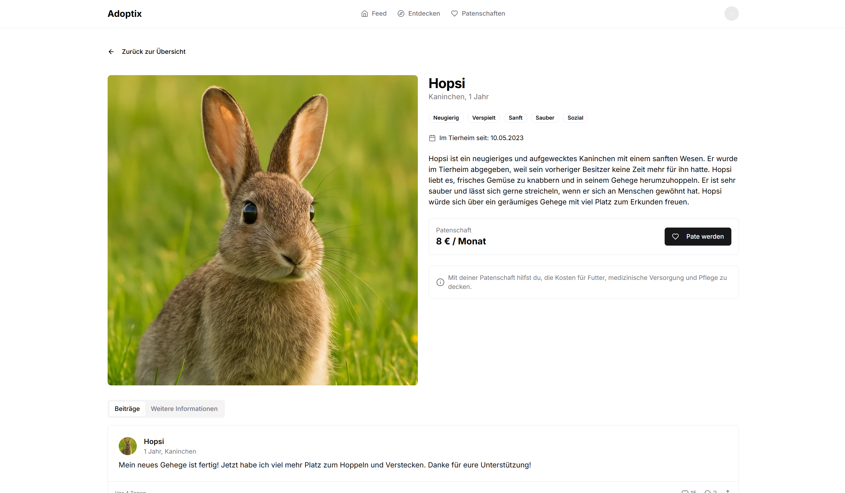 Adoptix Tierprofil - Hopsi das Kaninchen mit einfachem Ein-Klick-Spendenprozess und emotionaler Profildarstellung